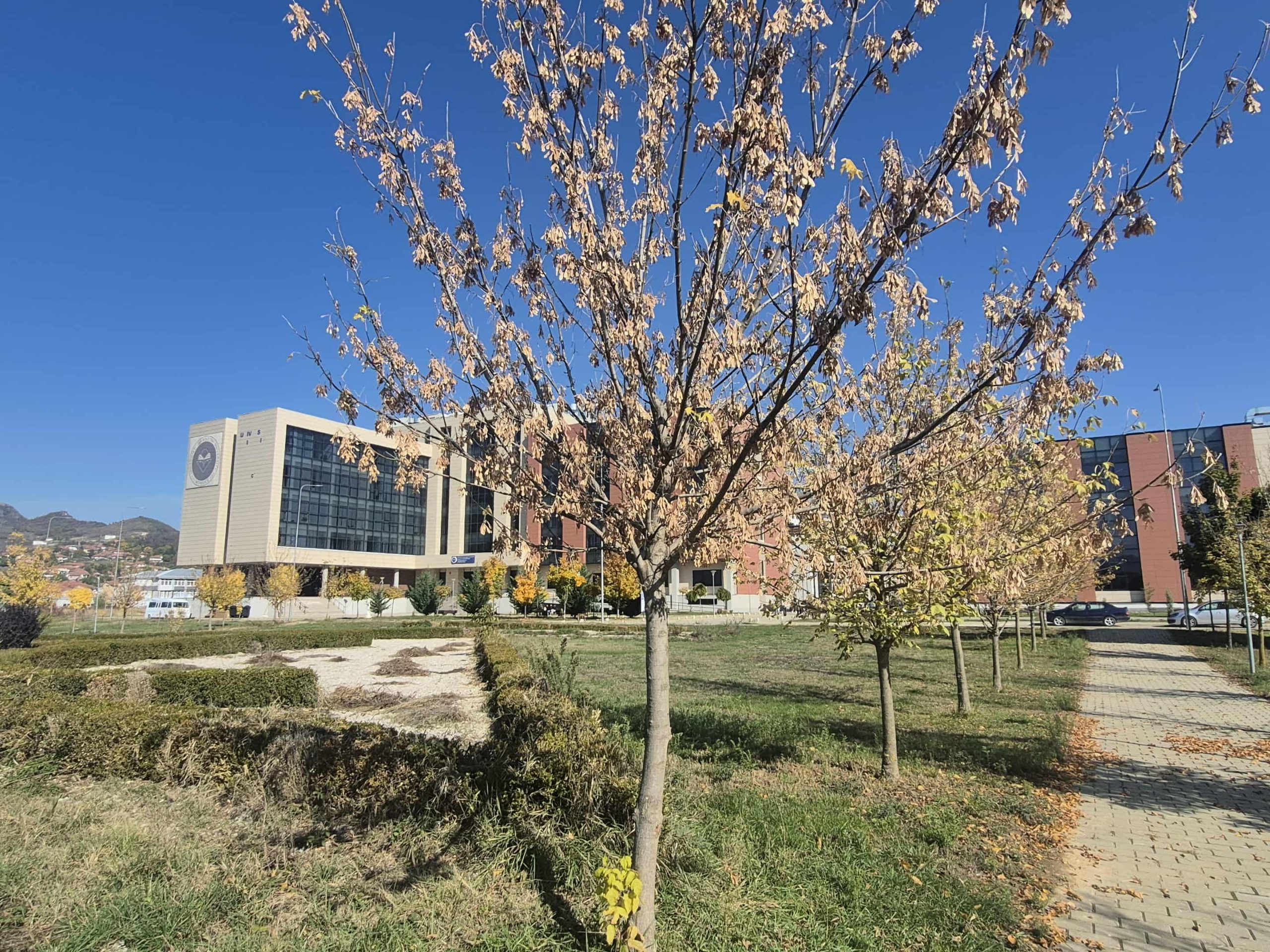 THIRRJE PËR APLIKIM  – Erasmus+ KA171 – Mobilitet Për Staf Në Yeditepe University